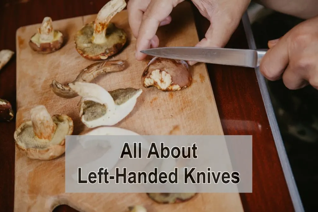 HANDEDNESS: A Left Perspective on Knives »