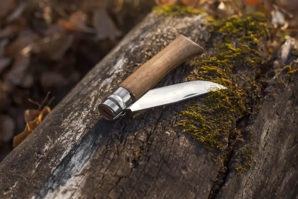 Are Opinel Knives Any Good?