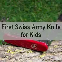 How Old for a Swiss Army Knife?