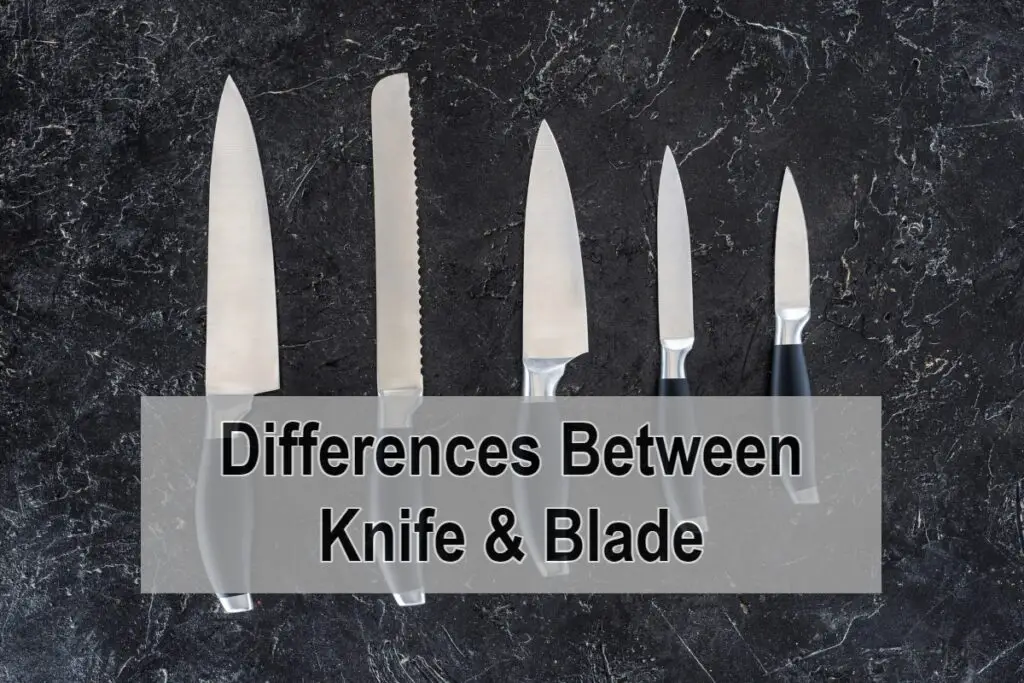 Differences Between Knife & Blade