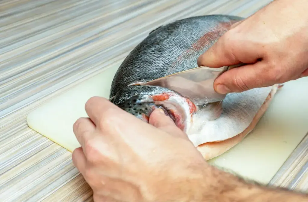 Best Japanese Knife For Processing Fish
